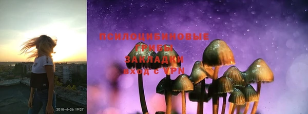 ешки Коряжма